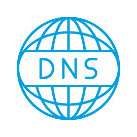 Find DNS records